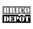 Animation entreprise Brico Depot
